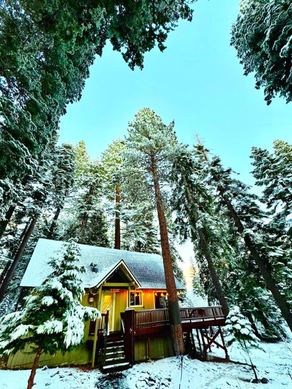 The Honey Bear Cabin Carnelian Bay المظهر الخارجي الصورة